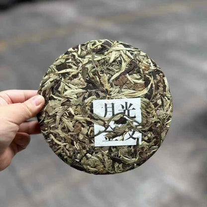 2021 Moonlight Golden Branch White Tea - 357g Premium Yue Guang Bai