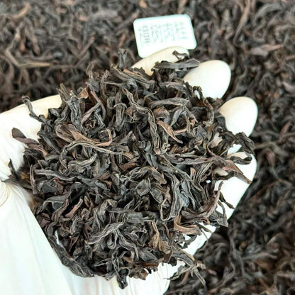 Zhang Shu Ke Rougui | Wuyi Zheng Yan Rock Oolong — Cinnamon, Camphor Wood & Cool Finish