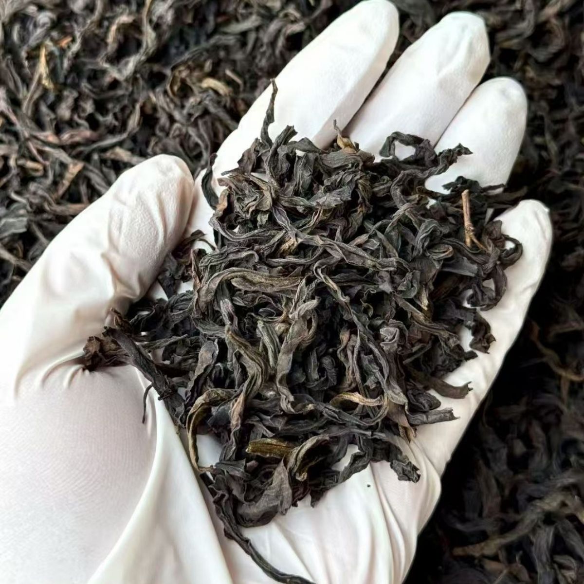 Chixia Yan Rougui | Wuyi Zhengyan Rock Oolong — Bold Cinnamon, Smooth & Deeply Mineral