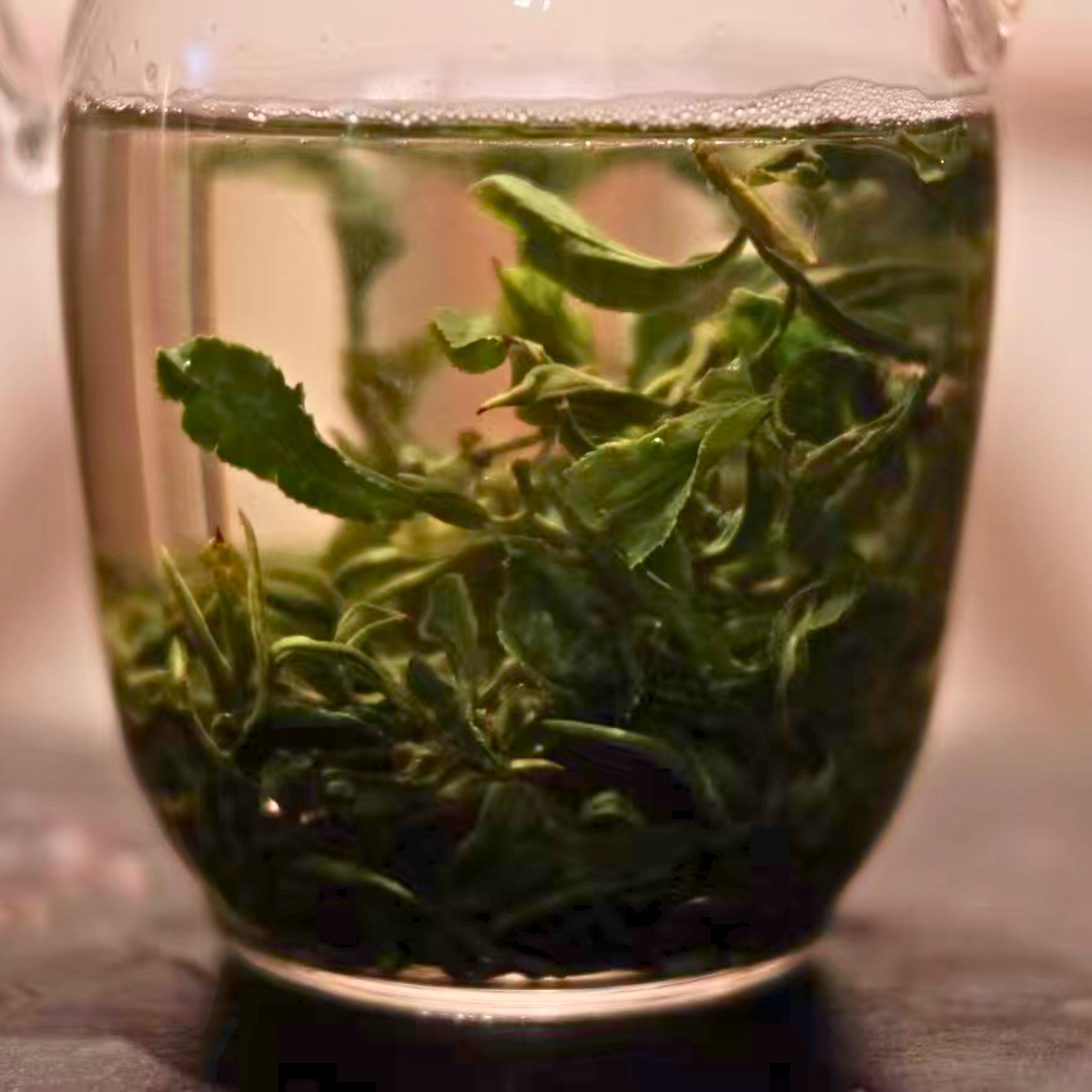 High Mountain Green Tea Premium 2026 - Jade Cloud