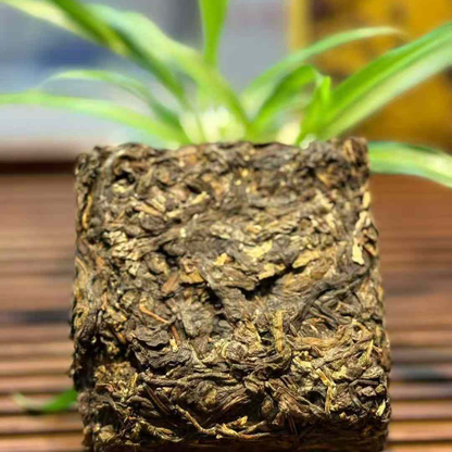 Bohетang Golden Brick Sheng Puerh Tea 2022 - 400g Premium