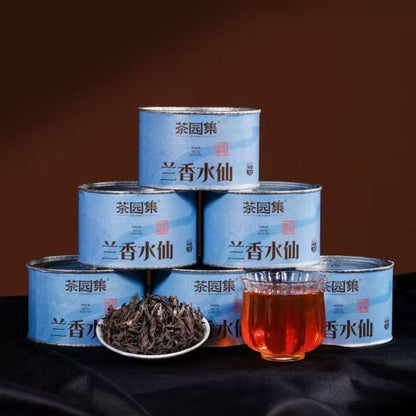 Six Teas — One Journey Through Wuyi Mountain