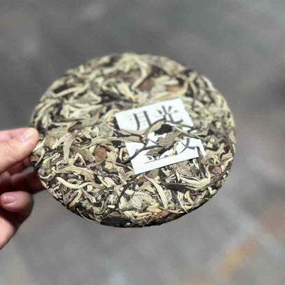2021 Moonlight Golden Branch White Tea - 357g Premium Yue Guang Bai