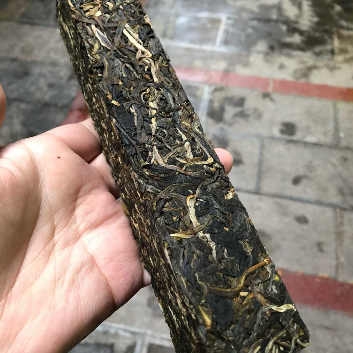Da Xue Shan Ancient Tree Sheng Puerh Tea 2021 - 300g Lincang