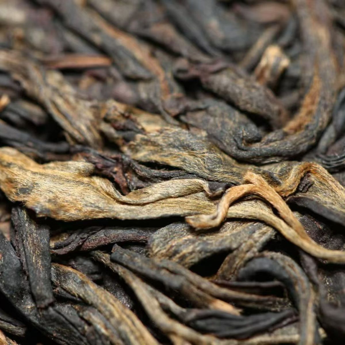 2005 Bulang Mountain Pre-Qingming Raw Pu-erh Tea | Guangdong Stored Aged Sheng Pu-erh 357g