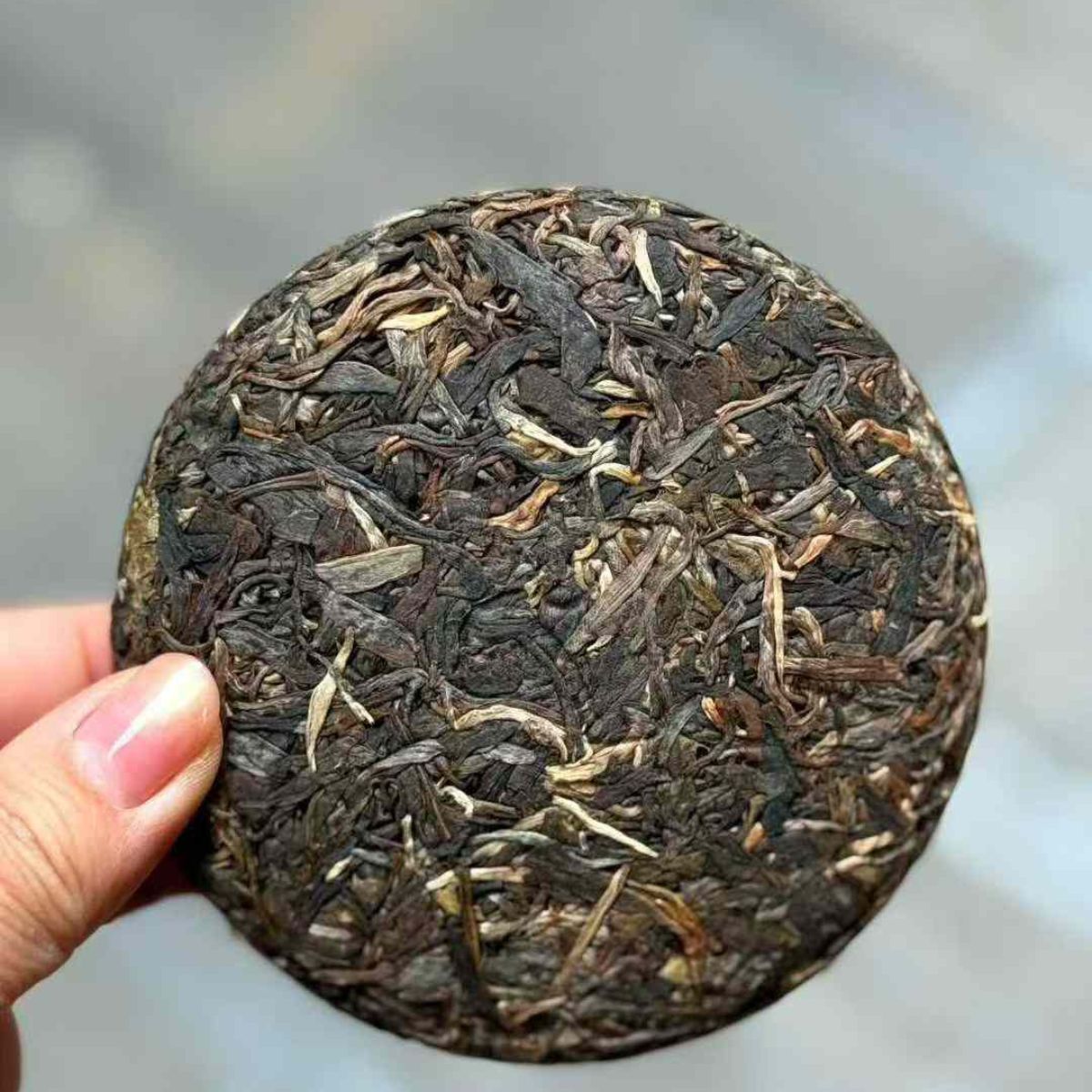 2021 Fenghuangwo Raw Pu-erh - 100g Mini Cake | Premium Micro-Batch Sheng Puerh