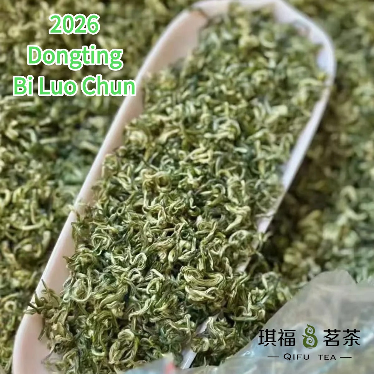 2026 Spring Dongting Bi Luo Chun — Green Snail Spring | Lake Tai, Jiangsu