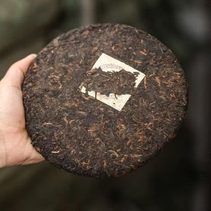 2005 Origion Wild Aroma Pu-erh King Ripe Tea Cake | Aged Shou Pu-erh with Chen Xiang & Jujube Aroma