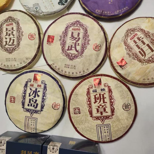 Premium Raw Pu-erh Collection: 5 Legendary Tea Mountains (1785g)