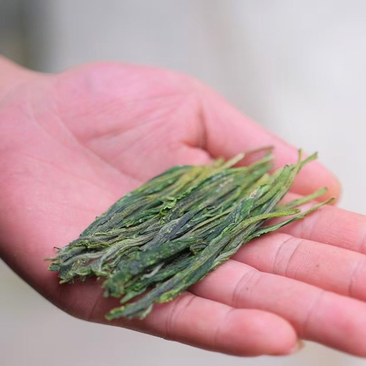 Tai Ping Hou Kui Premium Green Tea
