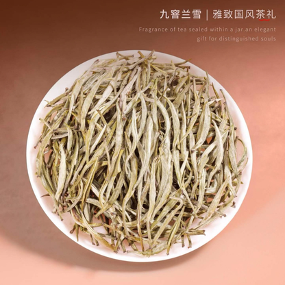 Cha Yuan Ji · Jiu Xun Lan Xue | Nine-Scenting Jasmine Tea — Orchid Fragrance, Rock Sugar Sweetness, Premium Gift Box (160g / 2 Tins)