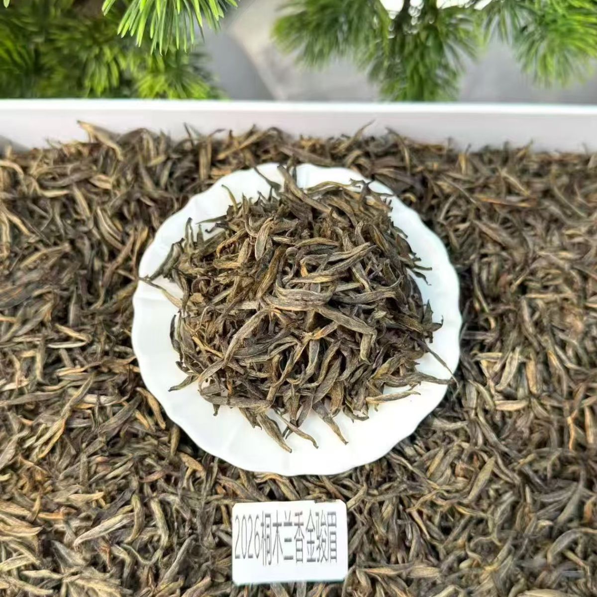 2026 Tongmu Orchid Aroma Jin Jun Mei | Premium Wuyi Black Tea