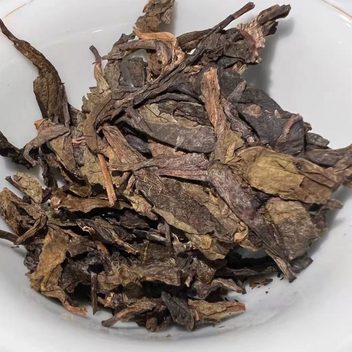 2020 Xigui "Golden Leaf" Raw Pu-erh Brick (1000g) – Ancient Tree Spring Harvest