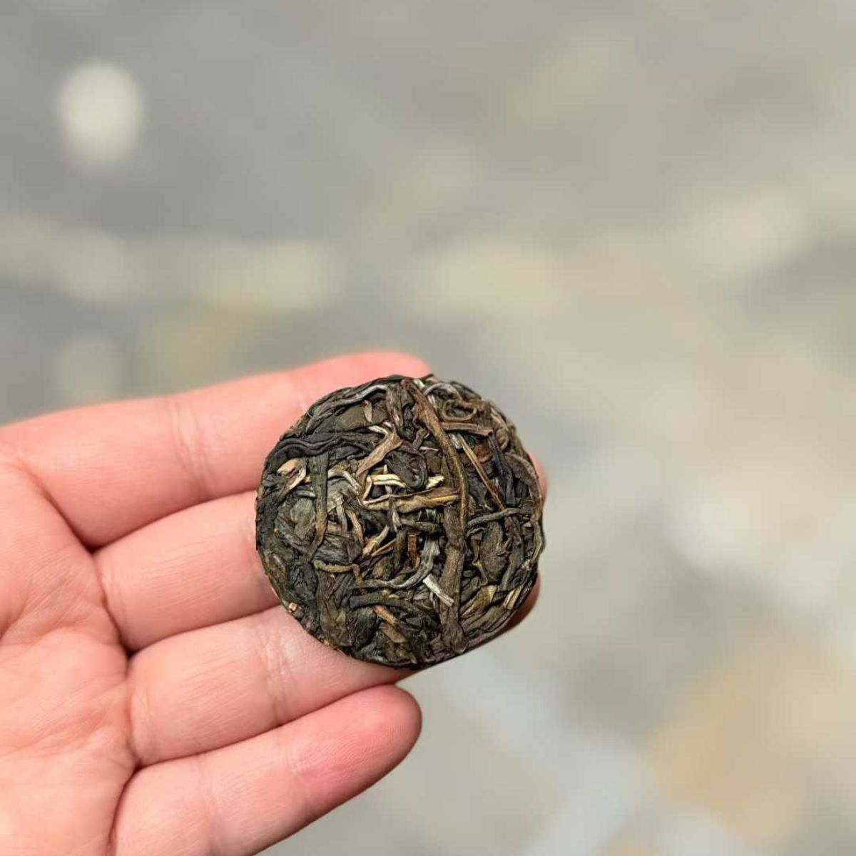 Xigui Ancient Tree Mini Round Sheng Puerh 2022 - 8g per Piece