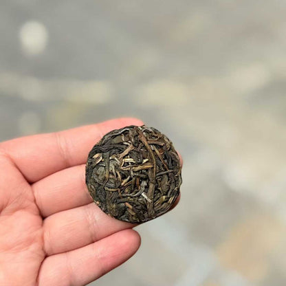 Xigui Ancient Tree Mini Round Sheng Puerh 2022 - 8g per Piece