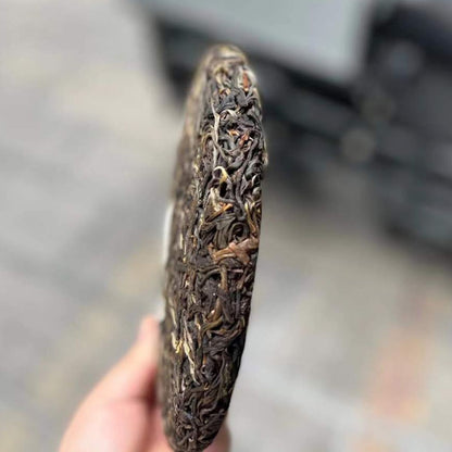 2020 Wild Bo Hetang ( Mint Valley)  Ancient Tree Raw Pu-erh Cake – 357g