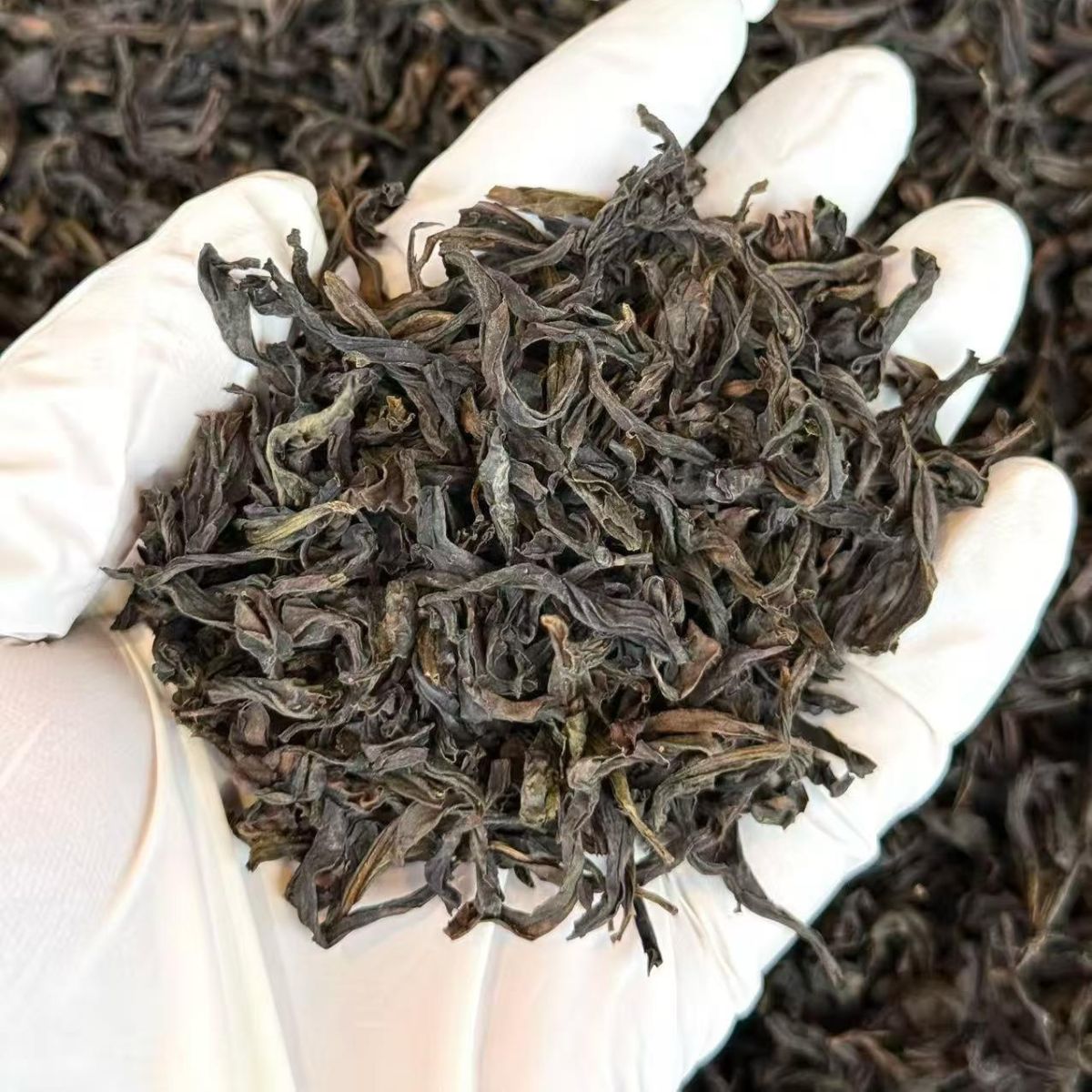 Dan Pao Liu Fang | Light-Medium Roast Wuyi Rock Oolong — Floral, Creamy & Layered Da Hong Pao (50g / 250g / 500g)