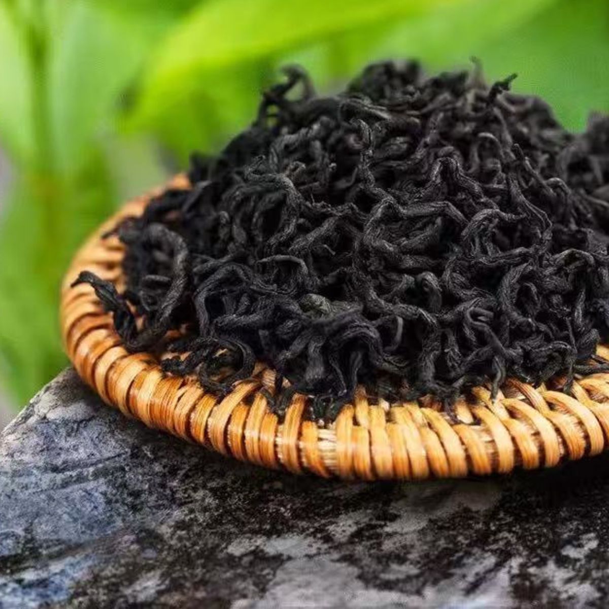 Wild Ancient Tree Eucommia Tea Premium 500g - 50-Year Zhangjiajie High Selenium
