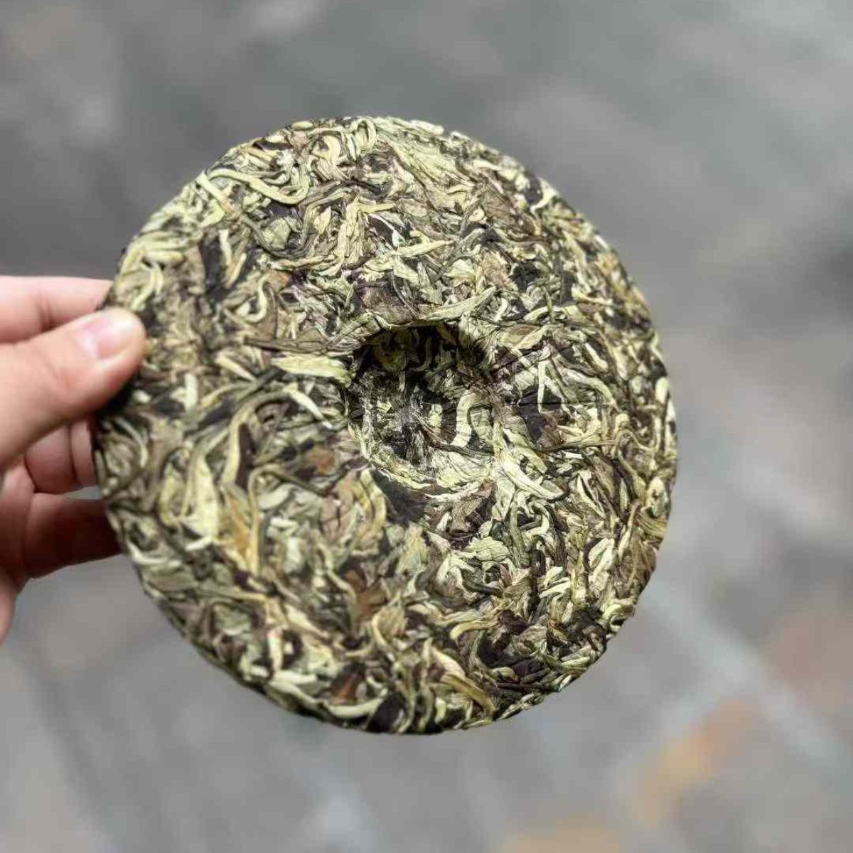 2021 Moonlight Golden Branch White Tea - 357g Premium Yue Guang Bai