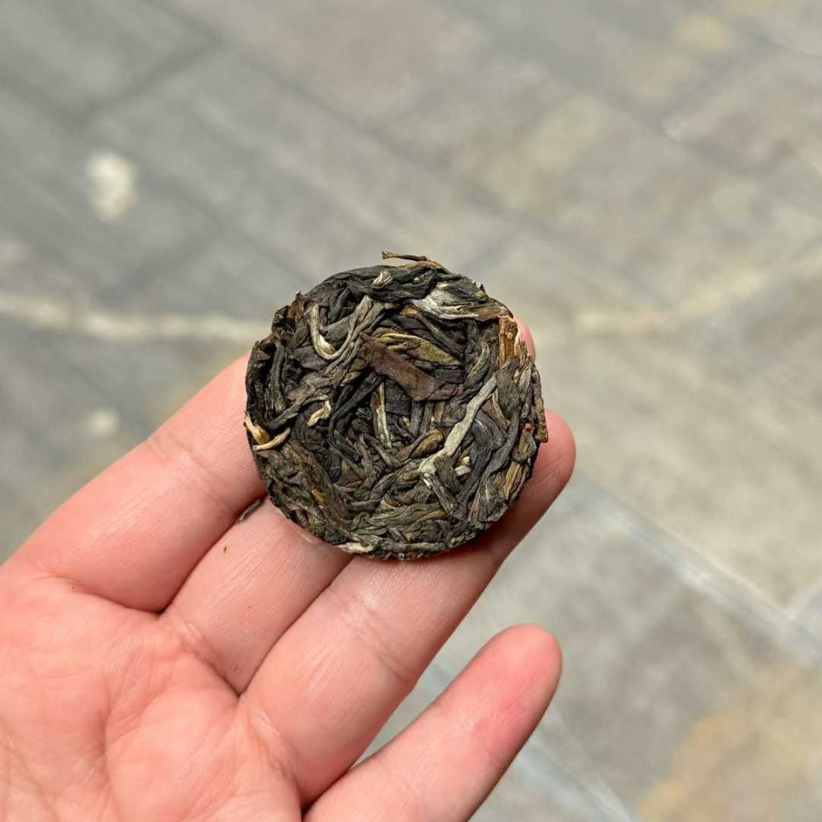 Xigui Ancient Tree Mini Round Sheng Puerh 2022 - 8g per Piece