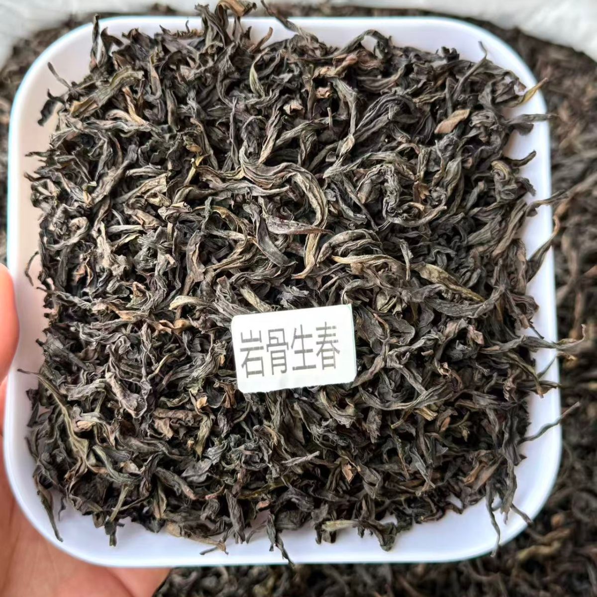 Yan Gu Sheng Chun | Wuyi Rock Oolong — Light-Medium Roast, Floral & Fruity with Gentle Rock Character (50g / 250g / 500g)