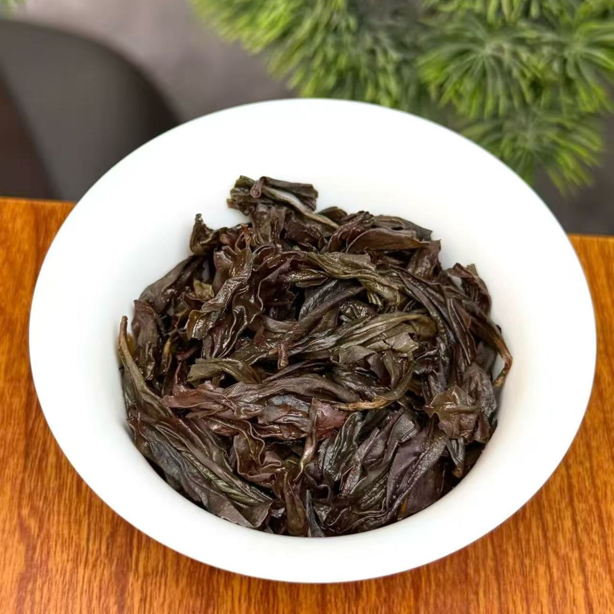 Yu Long Gu Rougui | Wuyi Valley Half-Rock Oolong — Fruity, Camphor & Effortlessly Drinkable