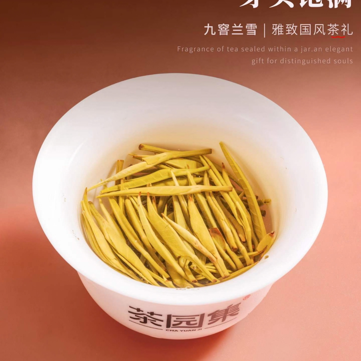Cha Yuan Ji · Jiu Xun Lan Xue | Nine-Scenting Jasmine Tea — Orchid Fragrance, Rock Sugar Sweetness, Premium Gift Box (160g / 2 Tins)