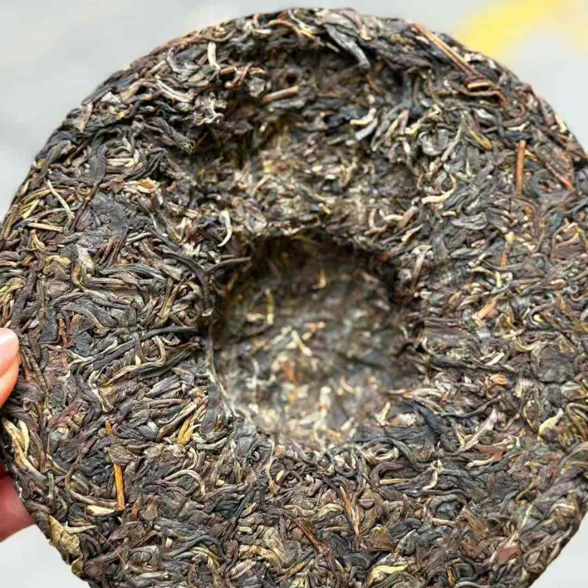 Qidian Naka Early Spring Ancient Tree Sheng Puerh 2021 - 357g
