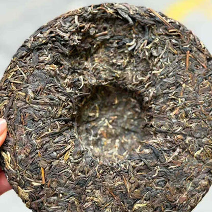 Qidian Naka Early Spring Ancient Tree Sheng Puerh 2021 - 357g