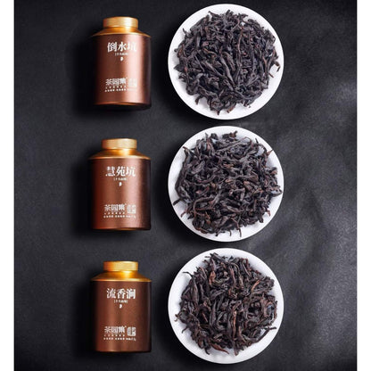 Wuyi Ten Terroirs Rock Oolong Collection | Titanium Canister Gift Set