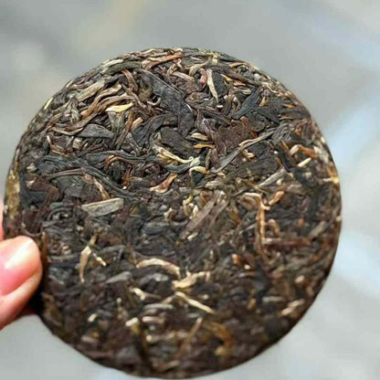 2021 Fenghuangwo Raw Pu-erh - 100g Mini Cake | Premium Micro-Batch Sheng Puerh
