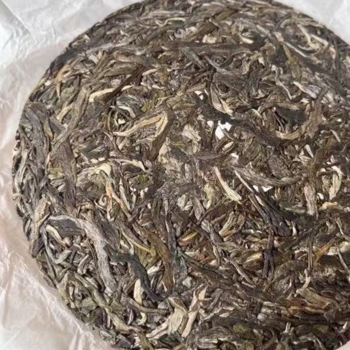 Mansong Big Tree Sheng Puerh Tea Cake 2022 - 357g Prince Mountain