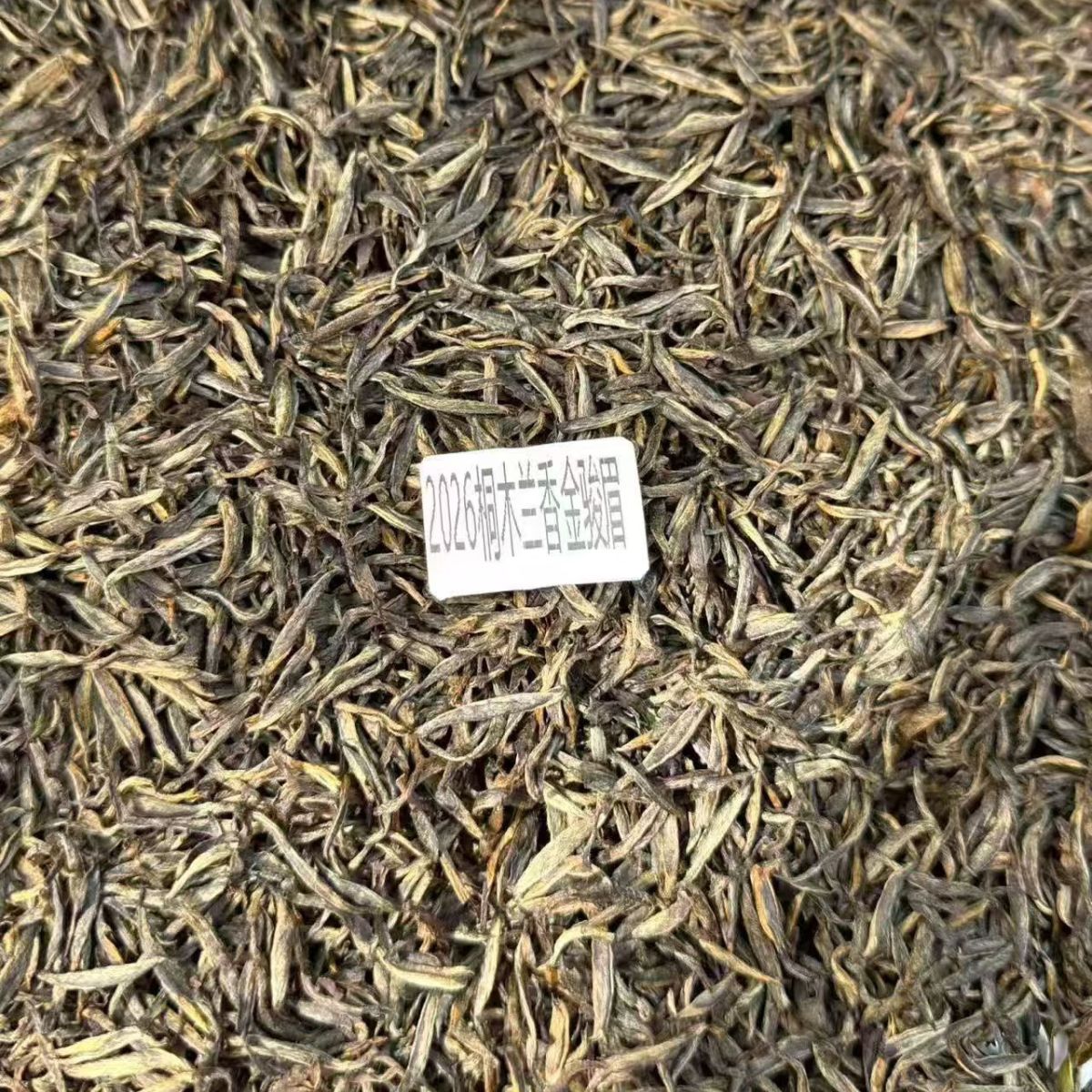 2026 Tongmu Orchid Aroma Jin Jun Mei | Premium Wuyi Black Tea
