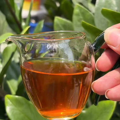 2012 Yiwu Zhengshan Ancient Tree Raw Pu-erh (Jingye Hao · 500g Cake) | 800-Year Old Tree Material | Dry-Aged Yiwu Sheng Pu-erh