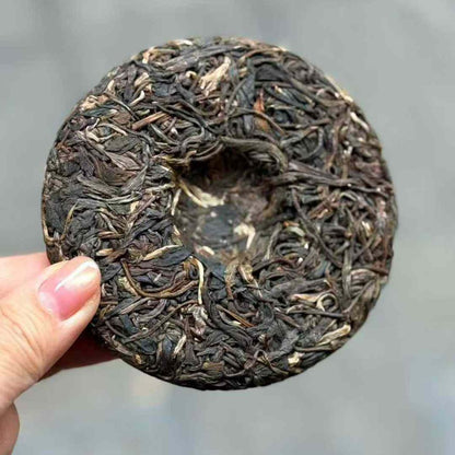 Bingdao Ancient Tree Mini Cake Sheng Puerh 2021 - 100g