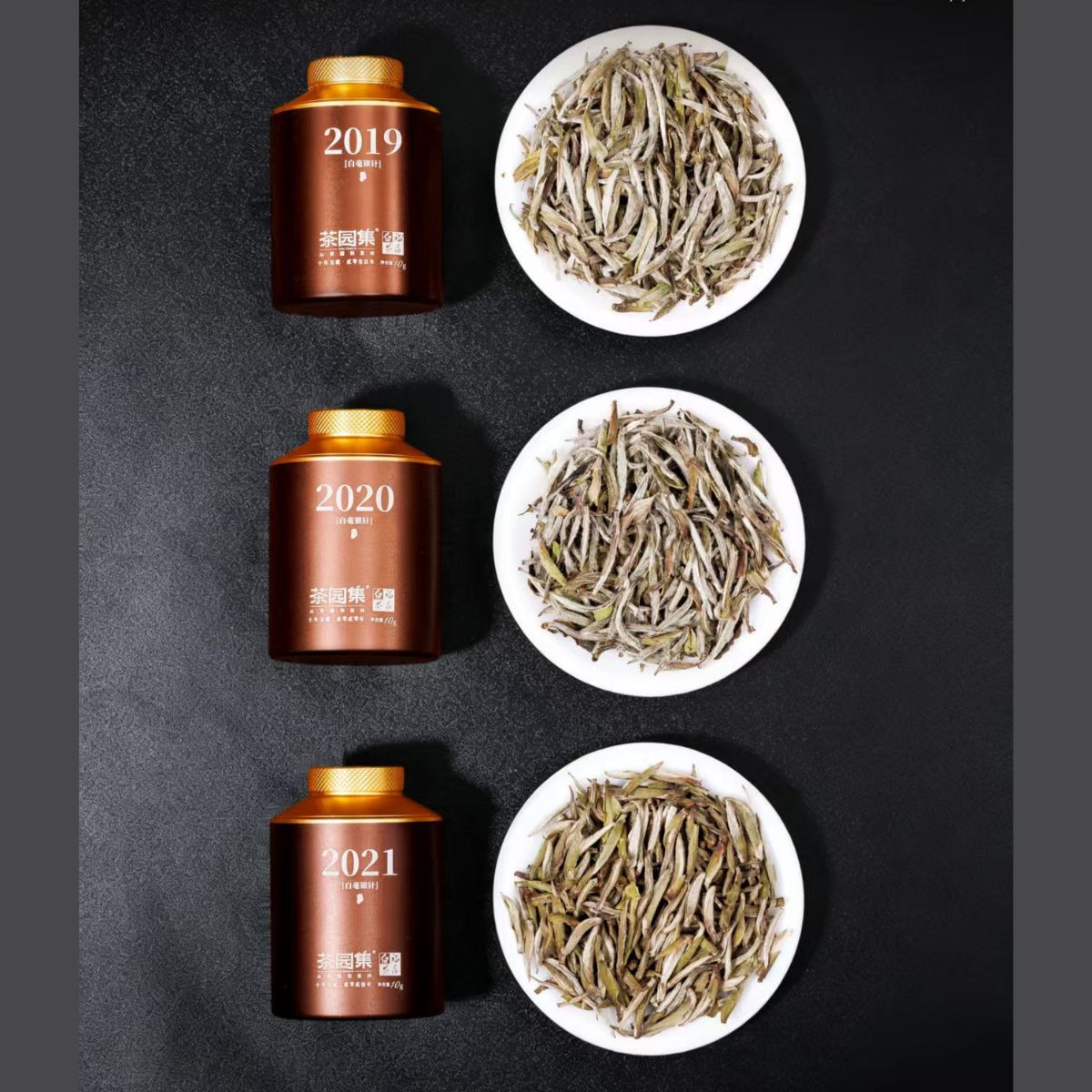 Decade Treasure Silver Needle Gift Collection 2016–2025 | Ten-Vintage Aged White Tea