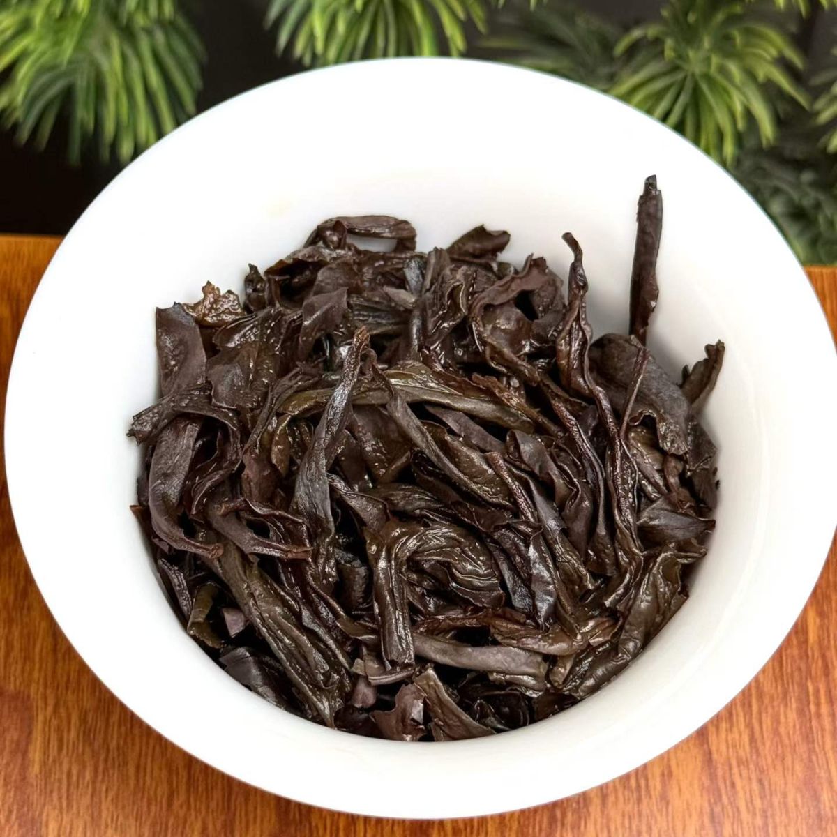 Zhang Shu Ke Rougui | Wuyi Zheng Yan Rock Oolong — Cinnamon, Camphor Wood & Cool Finish