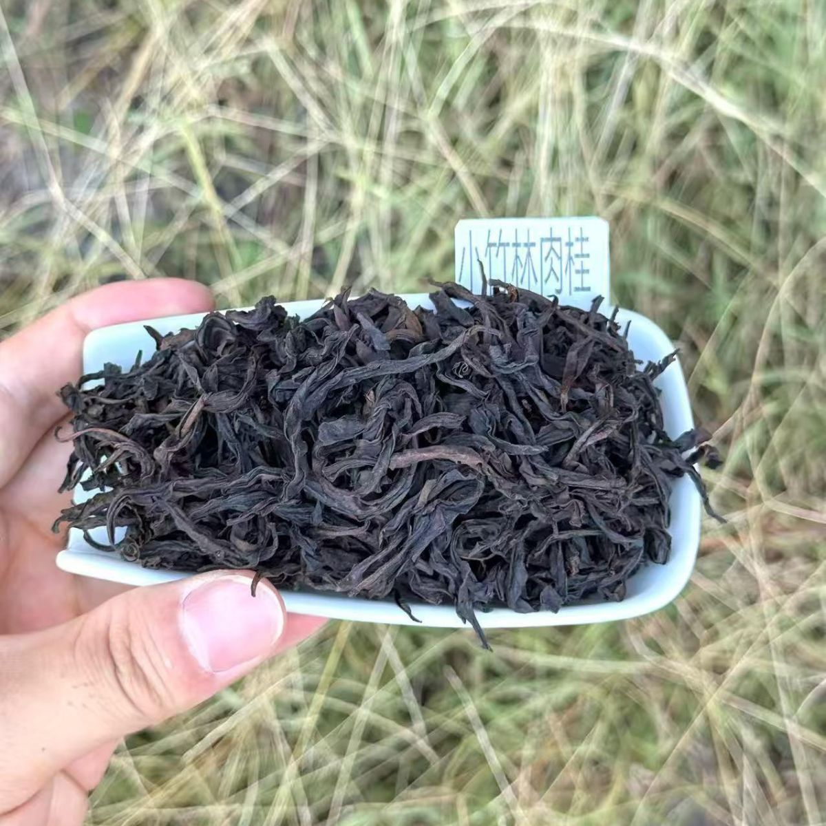 Xiao Zhu Lin Rougui | Wuyi Rock Oolong — Cinnamon, Bamboo & Floral Honey