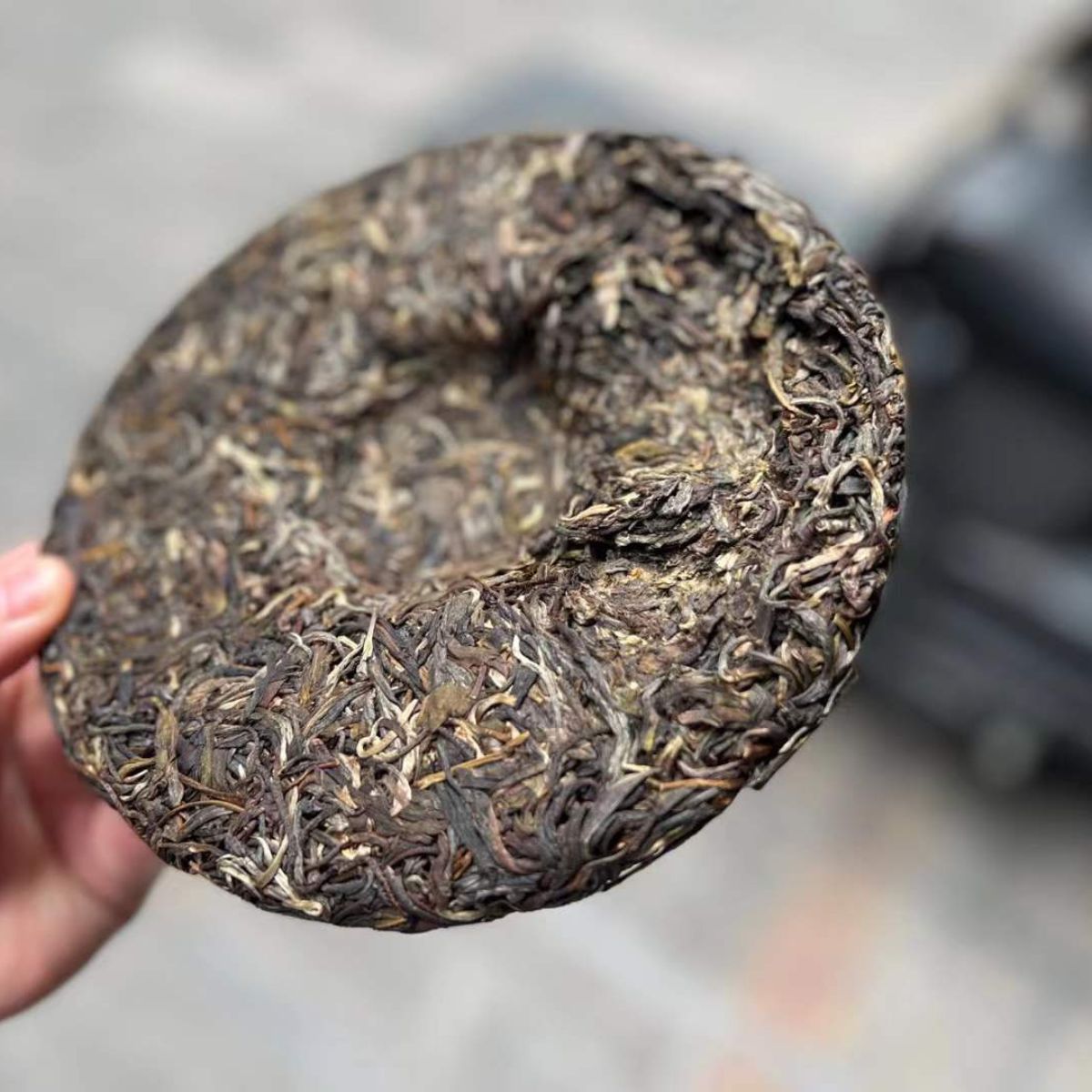 2020 Wild Bo Hetang ( Mint Valley)  Ancient Tree Raw Pu-erh Cake – 357g