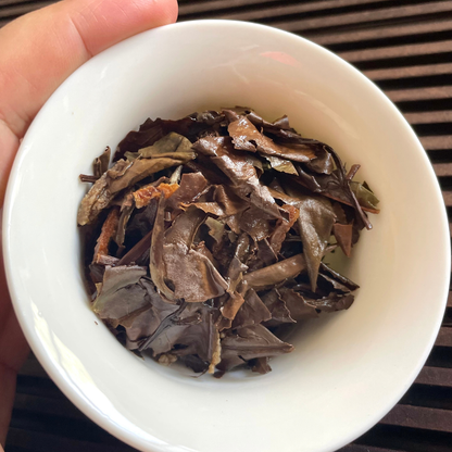Pan Xi Chuan Cheng No.1 | Chen Pi Aged White Tea Mini Cake — 2016 Aged Tangerine Peel + 2018 Lao Shou Mei, One Cake Per Brew, Rich & Smooth