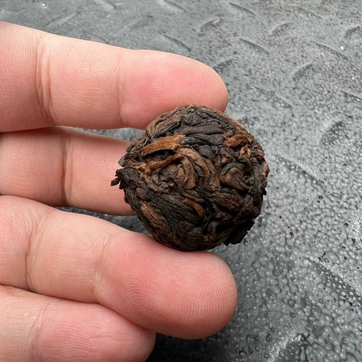Golden Bud Dragon Pearl Ripe Pu-erh Tea - Premium Loose Leaf