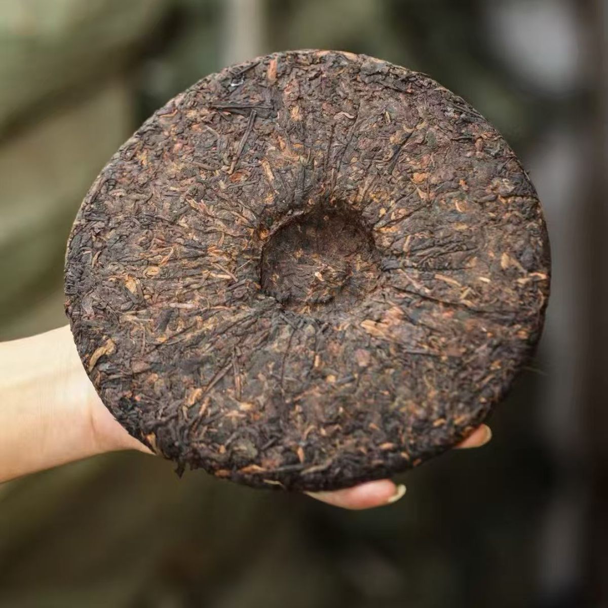2005 Origion Wild Aroma Pu-erh King Ripe Tea Cake | Aged Shou Pu-erh with Chen Xiang & Jujube Aroma