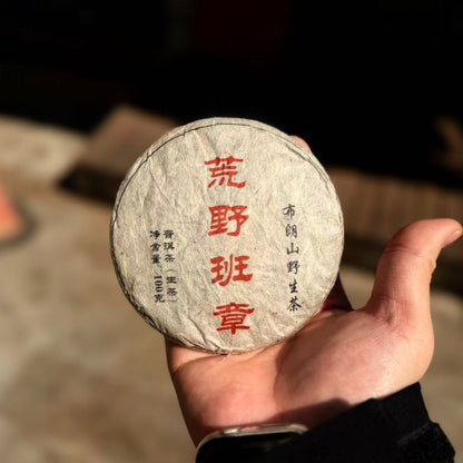 Wild Banzhang Raw Pu-erh - 100g Mini Cake | 2009 Material Premium Wild Sheng