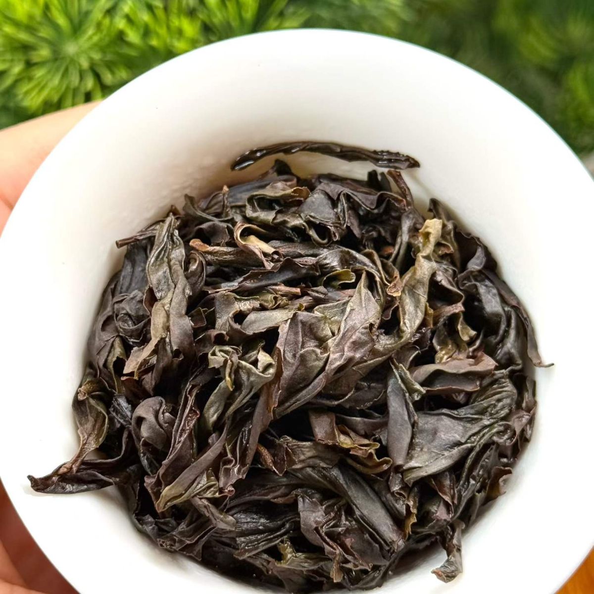 2026 Keng Jian Rui Xiang | Wuyi Rock Oolong — Gardenia, Honey Peach & Silky Sweet