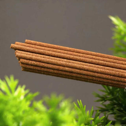 10A Grade Xue Zhong Chun Xin Handcrafted Incense – Clove, Agarwood & Sandalwood | 1 Tube ~30 Sticks