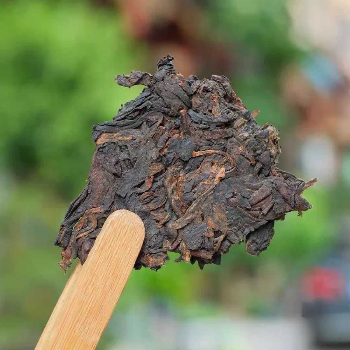 2006 Tu Lin Phoenix Iron Cake | Aged Ripe Pu-erh from Wuliang Mountain Ancient Trees — Nearly 20 Years of Cellaring, Rich & Sweet