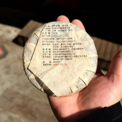 Wild Banzhang Raw Pu-erh - 100g Mini Cake | 2009 Material Premium Wild Sheng