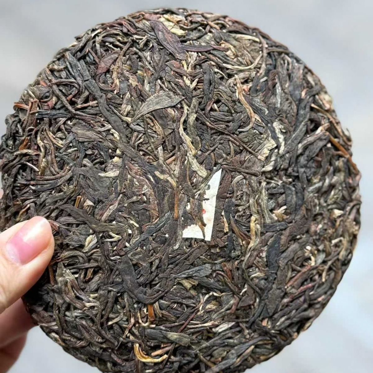 Yunnan Ancient Tree Tea Tasting Set - 3 Flavor Profiles
