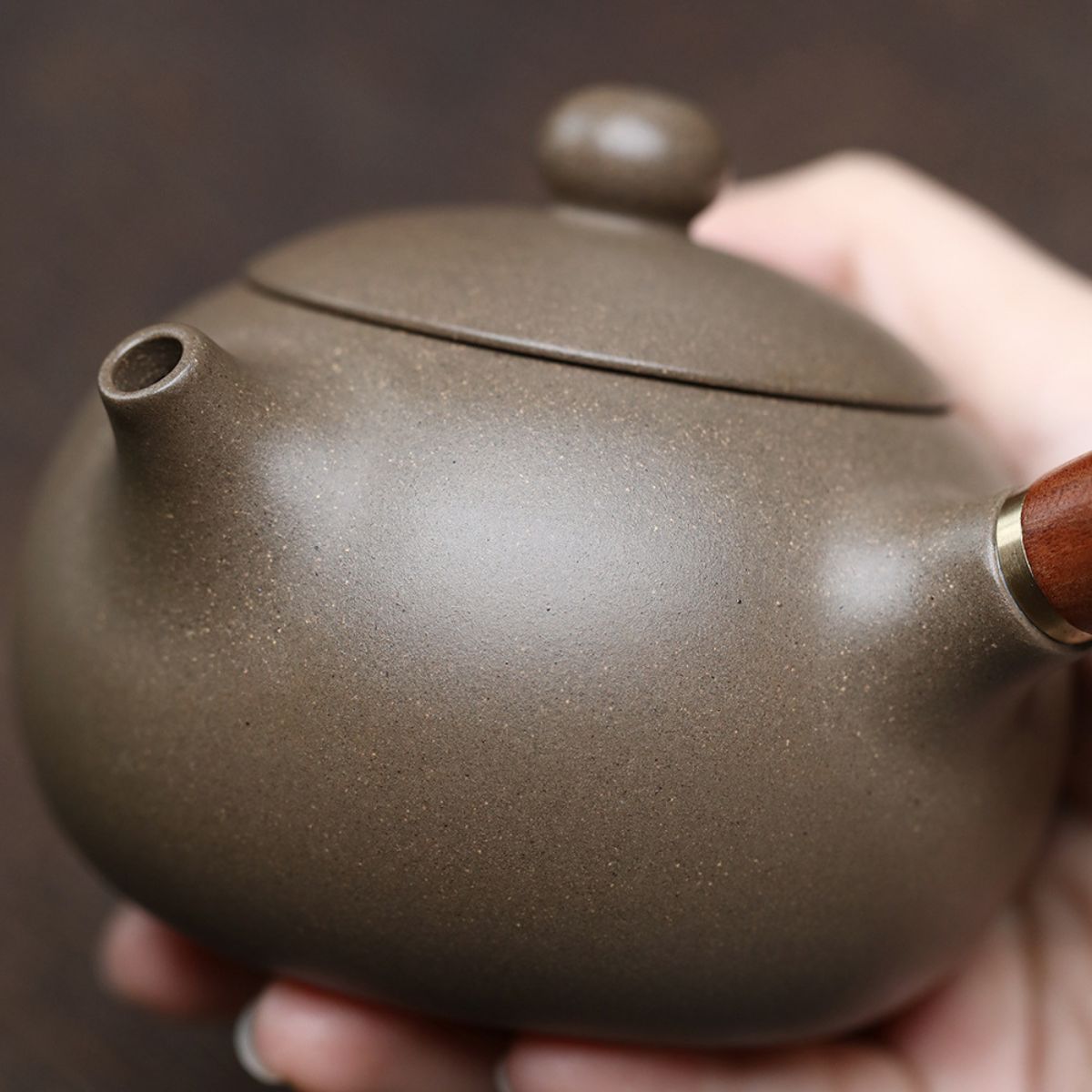 Side-Handle Tang Yu Zisha Teapot | Raw Ore Qing Hui Duan Clay | 250ml Gongfu Tea Pot