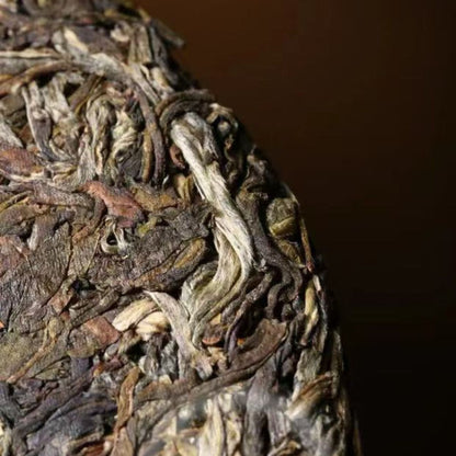 Yiwu Ba Ye — Rare Wild Arbor High-Pole Sheng Puerh | 357g Cake | Untamed Tea Energy